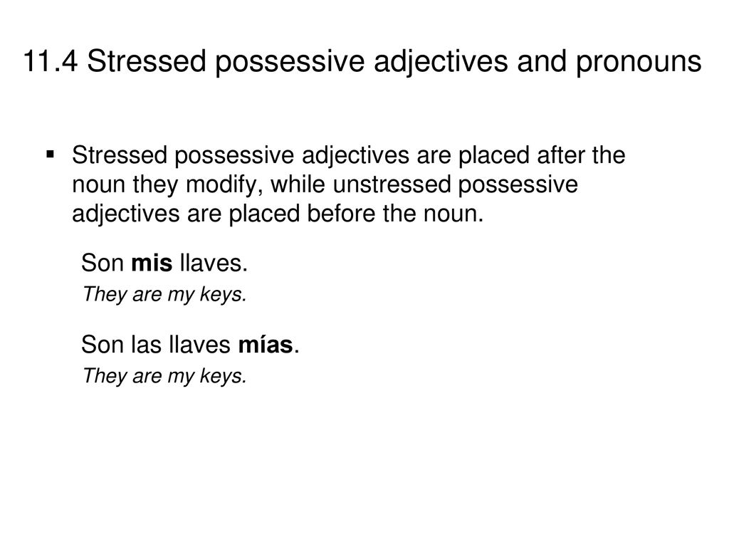 Stressed possessive adjectives are placed after the noun they modify, while unstressed possessive adjectives are placed before the noun.