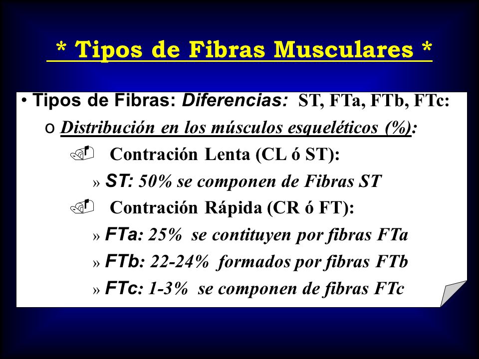 * Tipos de Fibras Musculares *