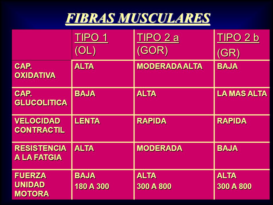 FIBRAS MUSCULARES TIPO 1 (OL) TIPO 2 a (GOR) TIPO 2 b (GR)