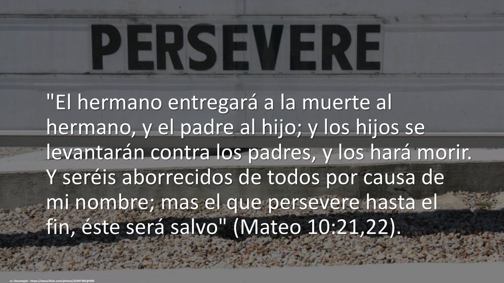 El hermano entregará a la muerte al hermano, y el padre al hijo; y los hijos se levantarán contra los padres, y los hará morir. Y seréis aborrecidos de todos por causa de mi nombre; mas el que persevere hasta el fin, éste será salvo (Mateo 10:21,22).