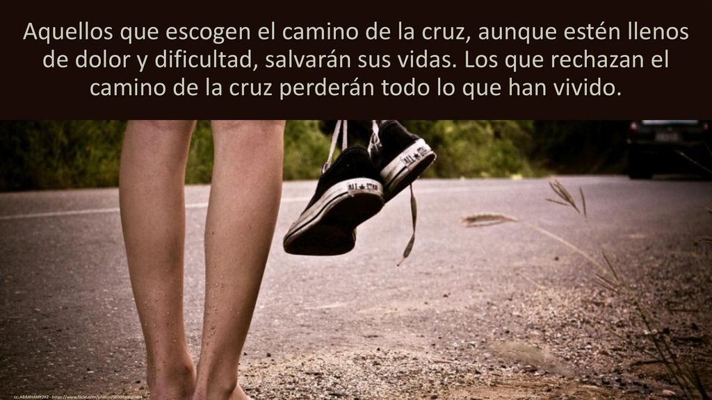 Aquellos que escogen el camino de la cruz, aunque estén llenos de dolor y dificultad, salvarán sus vidas. Los que rechazan el camino de la cruz perderán todo lo que han vivido.