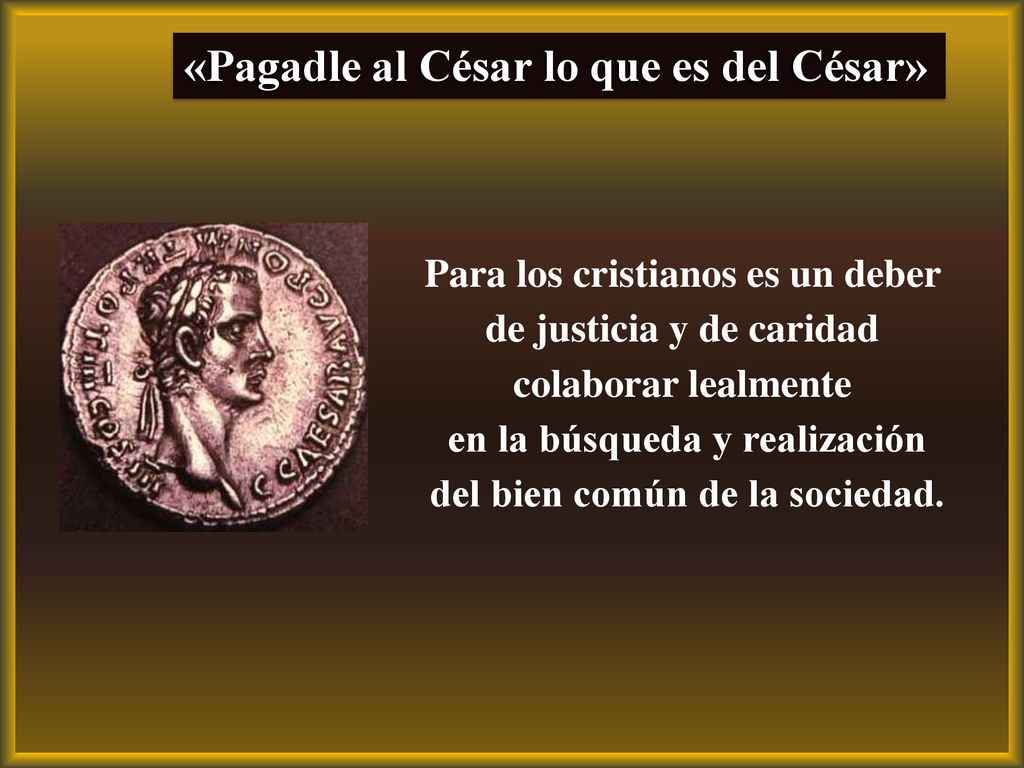 en la búsqueda y realización del bien común de la sociedad.