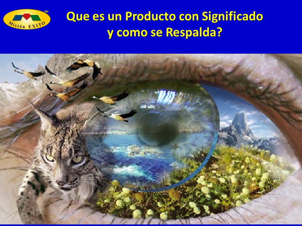 Que es un Producto con Significado
