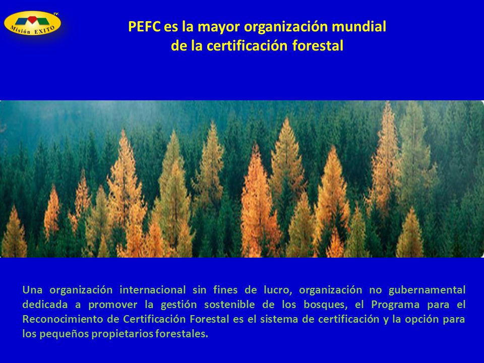 PEFC es la mayor organización mundial de la certificación forestal