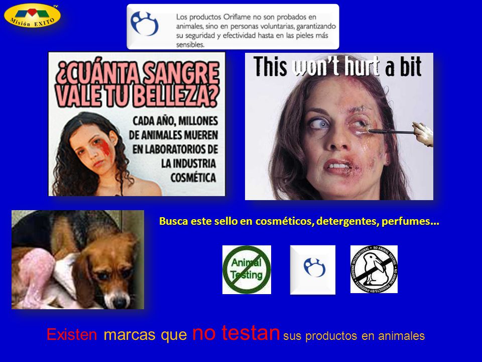 Existen marcas que no testan sus productos en animales