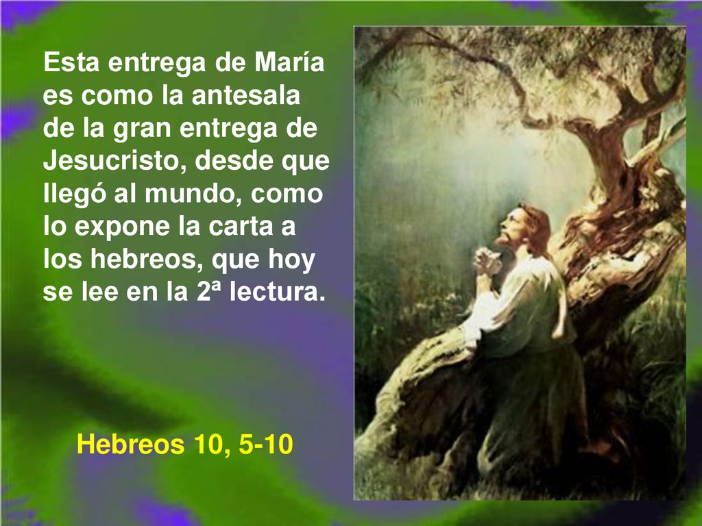 Esta entrega de María es como la antesala de la gran entrega de Jesucristo, desde que llegó al mundo, como lo expone la carta a los hebreos, que hoy se lee en la 2ª lectura.