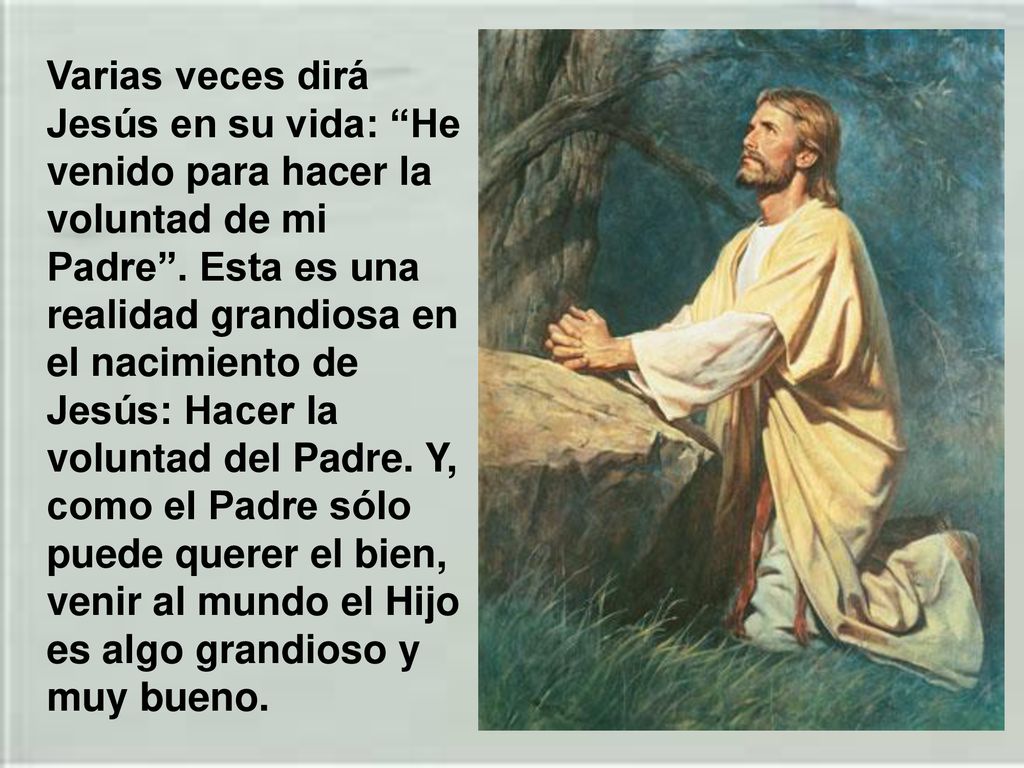 Varias veces dirá Jesús en su vida: He venido para hacer la voluntad de mi Padre .