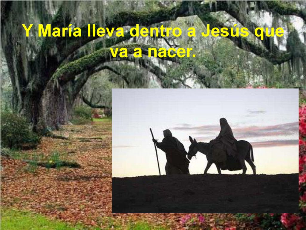 Y María lleva dentro a Jesús que va a nacer.