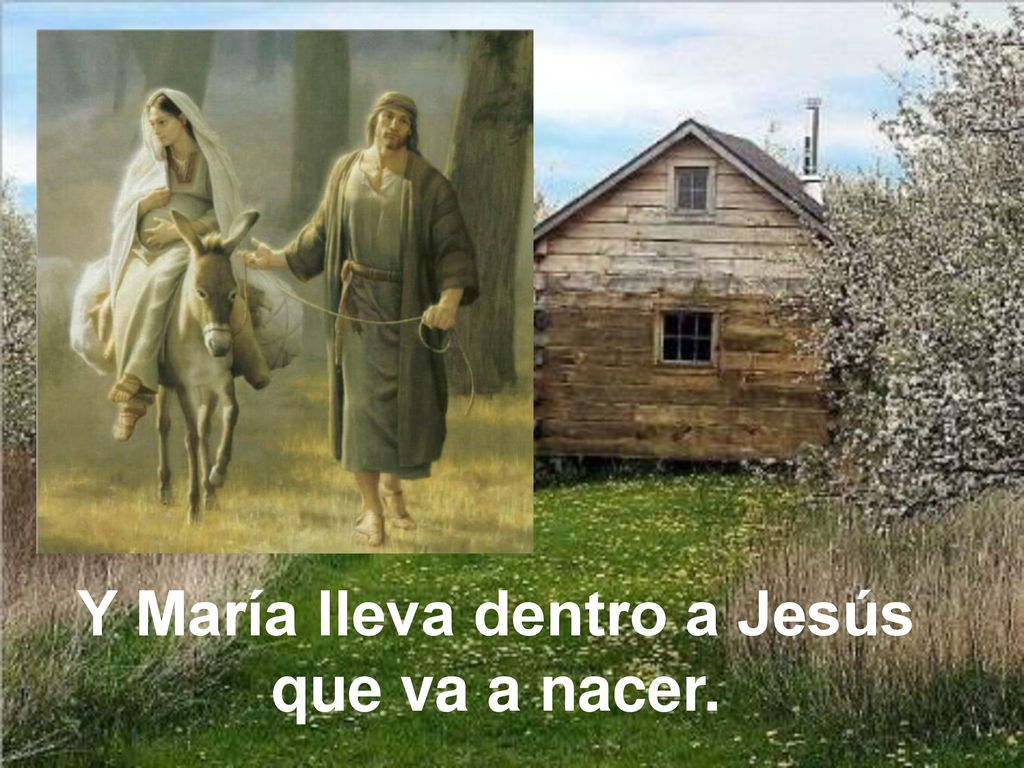 Y María lleva dentro a Jesús que va a nacer.