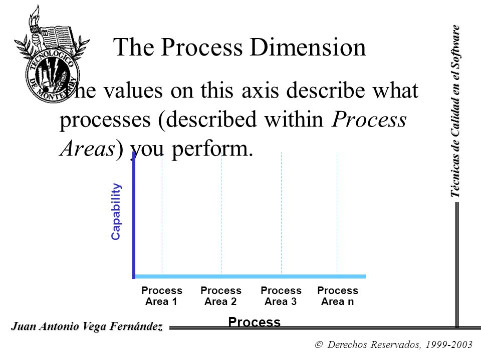 The Process Dimension The values on this axis describe what processes (described within Process Areas) you perform.