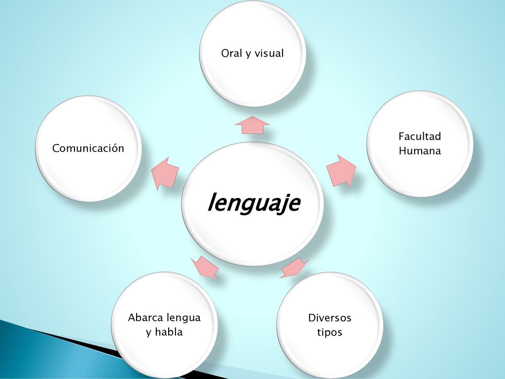 lenguaje Oral y visual Facultad Humana Diversos tipos