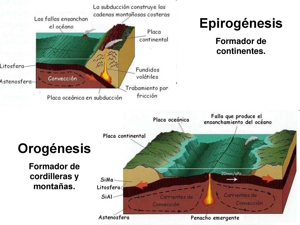 Formador de continentes. Formador de cordilleras y montañas.