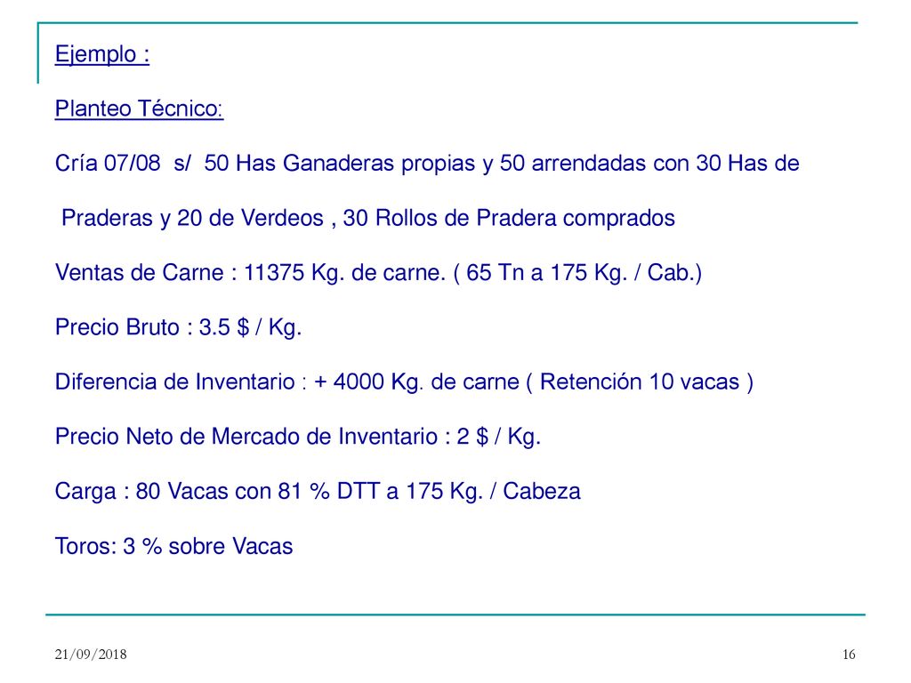 Cría 07/08 s/ 50 Has Ganaderas propias y 50 arrendadas con 30 Has de
