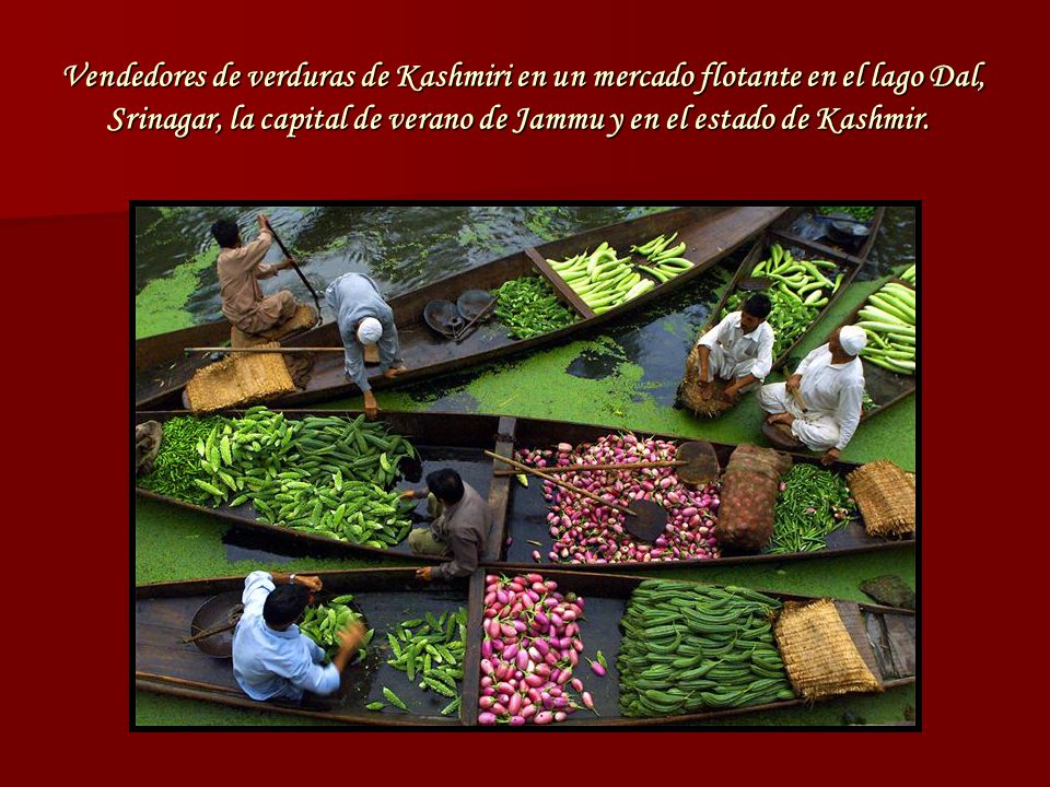Vendedores de verduras de Kashmiri en un mercado flotante en el lago Dal, Srinagar, la capital de verano de Jammu y en el estado de Kashmir.