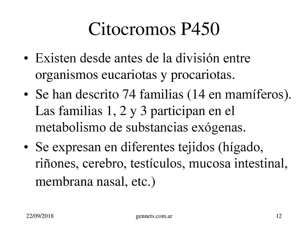 Citocromos P450 Existen desde antes de la división entre organismos eucariotas y procariotas.