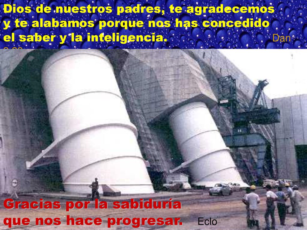 Gracias por la sabiduría que nos hace progresar. Eclo 51,17