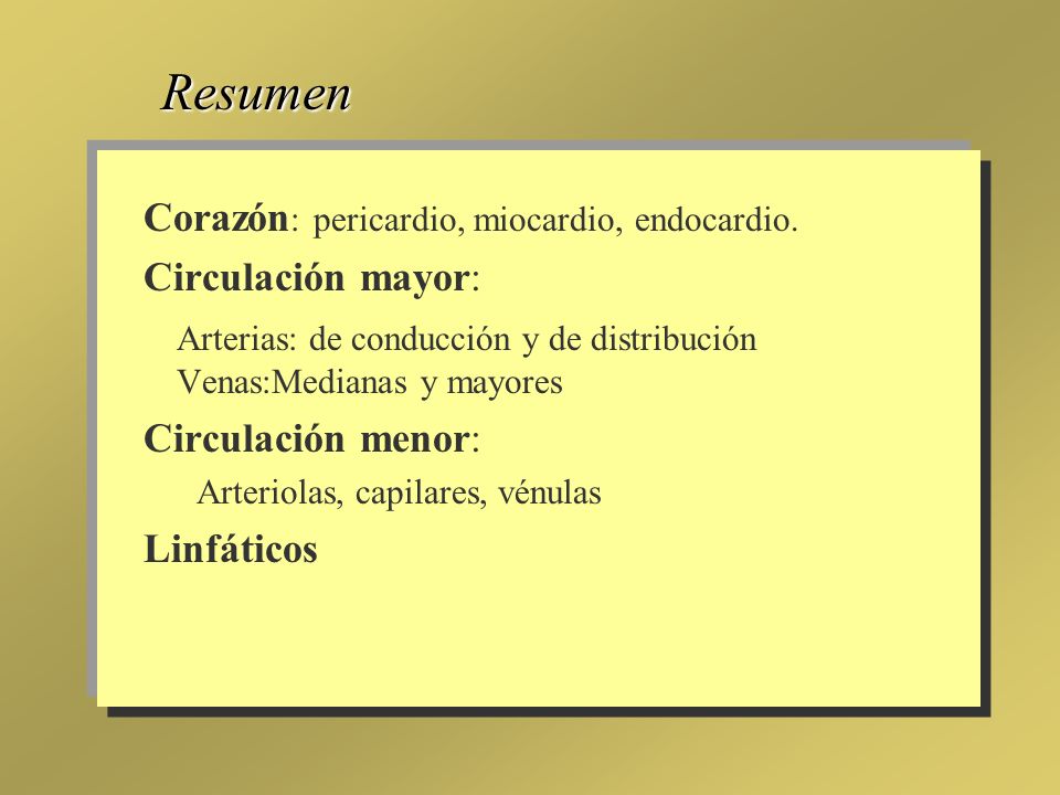 Resumen Corazón: pericardio, miocardio, endocardio. Circulación mayor: