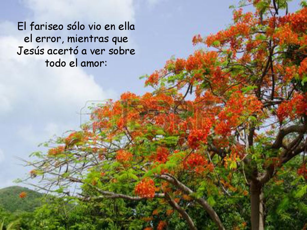 El fariseo sólo vio en ella el error, mientras que Jesús acertó a ver sobre todo el amor: