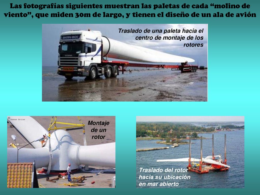 Las fotografías siguientes muestran las paletas de cada molino de viento , que miden 30m de largo, y tienen el diseño de un ala de avión