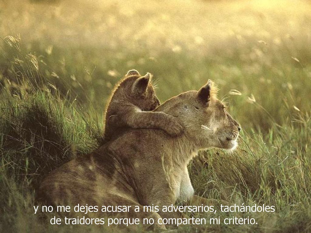 y no me dejes acusar a mis adversarios, tachándoles de traidores porque no comparten mi criterio.