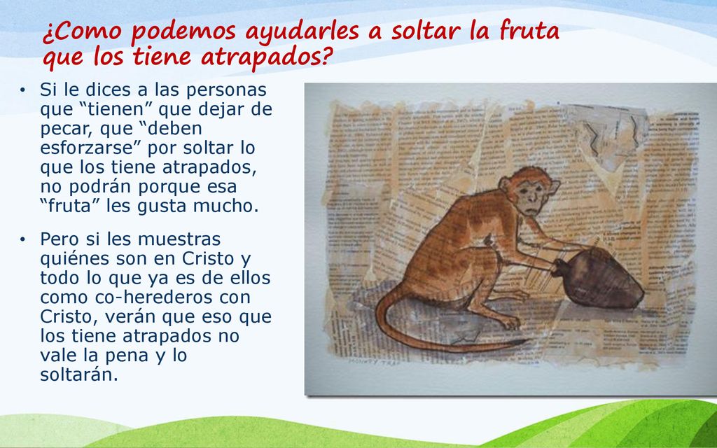 ¿Como podemos ayudarles a soltar la fruta que los tiene atrapados