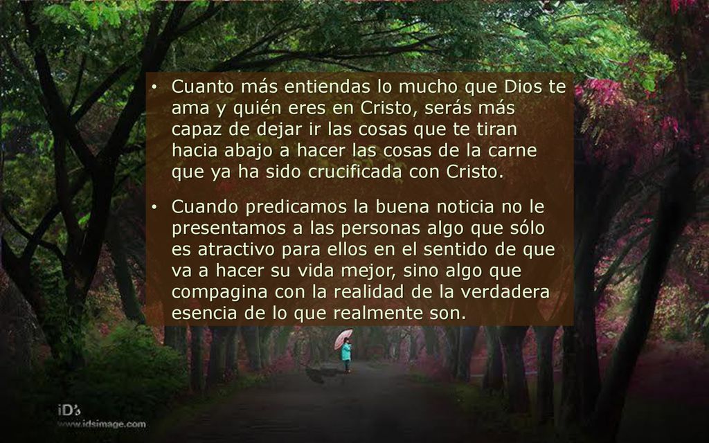 Cuanto más entiendas lo mucho que Dios te ama y quién eres en Cristo, serás más capaz de dejar ir las cosas que te tiran hacia abajo a hacer las cosas de la carne que ya ha sido crucificada con Cristo.