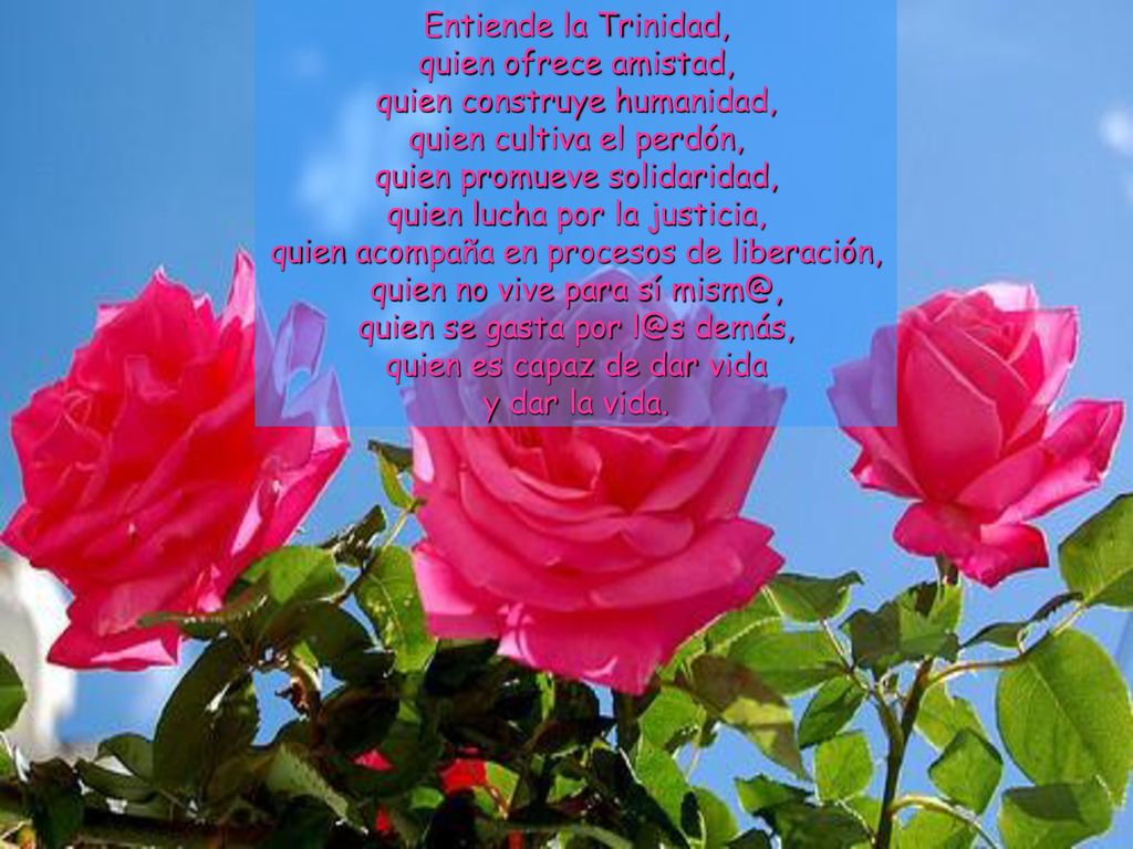 Entiende la Trinidad, quien ofrece amistad, quien construye humanidad, quien cultiva el perdón, quien promueve solidaridad, quien lucha por la justicia, quien acompaña en procesos de liberación, quien no vive para sí quien se gasta por demás, quien es capaz de dar vida y dar la vida.