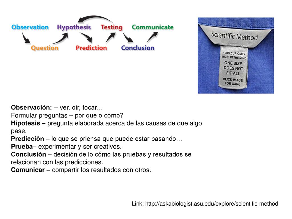 Observación: – ver, oir, tocar… Formular preguntas – por qué o cómo