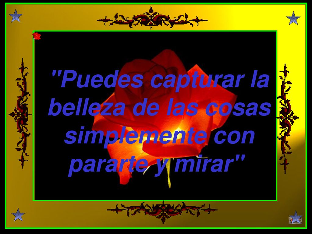 Puedes capturar la belleza de las cosas simplemente con pararte y mirar