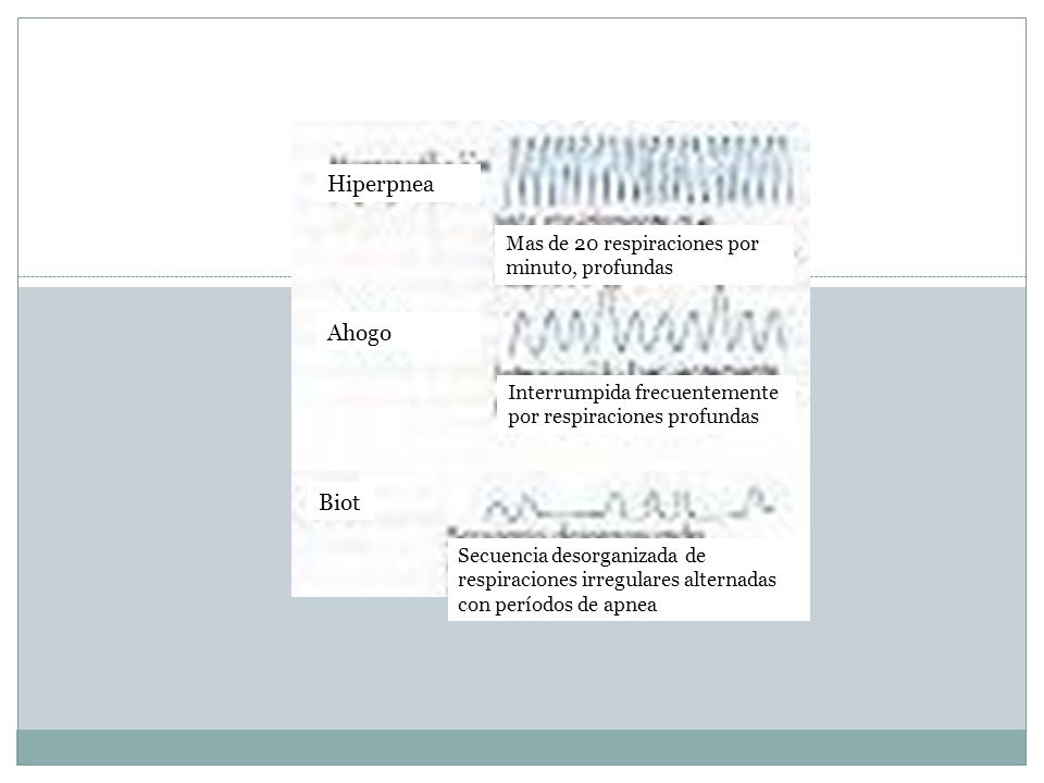 Hiperpnea Ahogo Biot Mas de 20 respiraciones por minuto, profundas