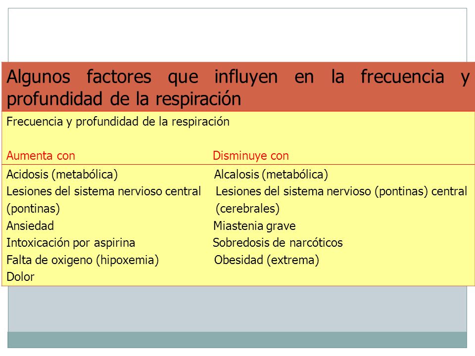Algunos factores que influyen en la frecuencia y profundidad de la respiración