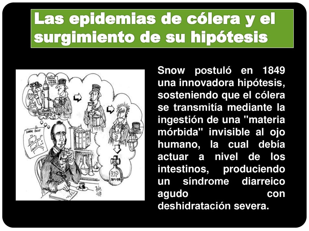 Las epidemias de cólera y el surgimiento de su hipótesis