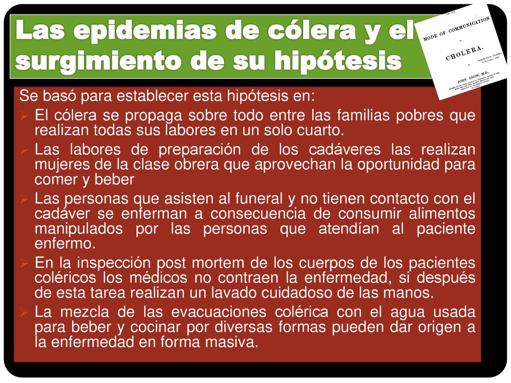 Las epidemias de cólera y el surgimiento de su hipótesis