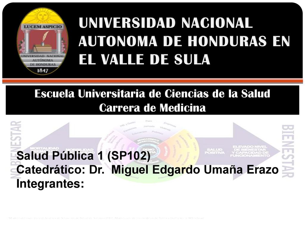 UNIVERSIDAD NACIONAL AUTONOMA DE HONDURAS EN EL VALLE DE SULA