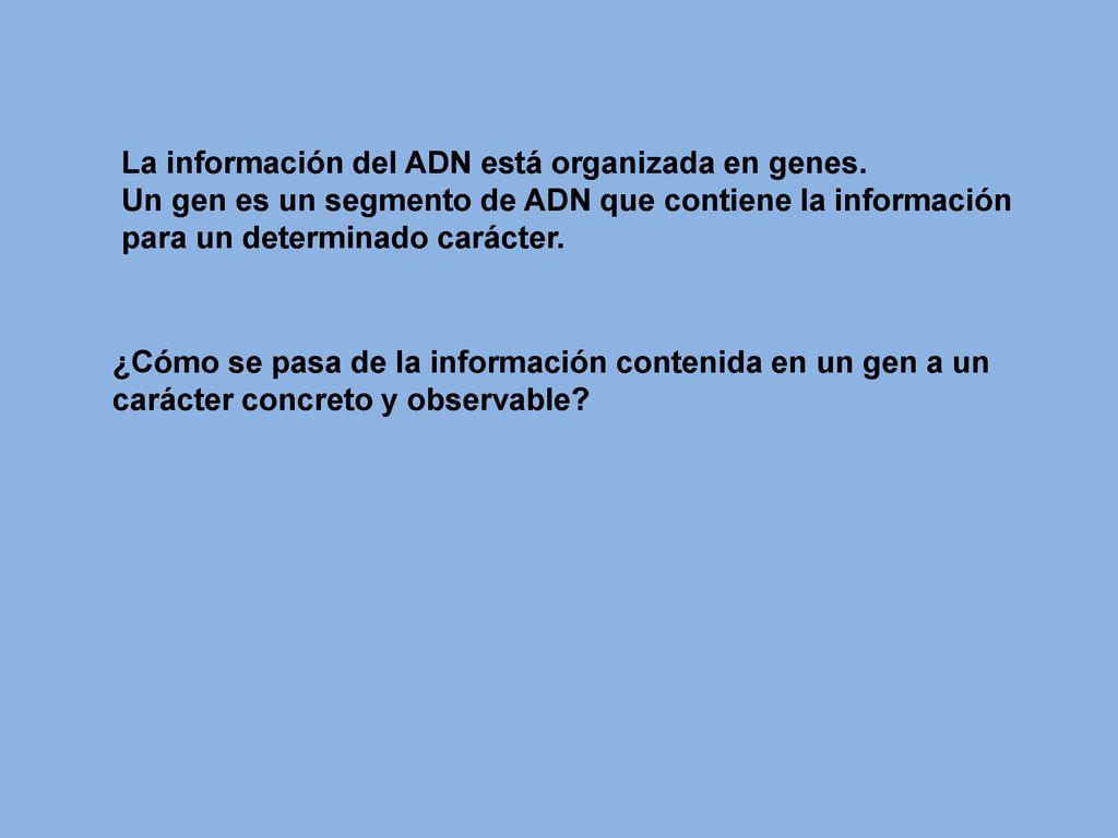 La información del ADN está organizada en genes.