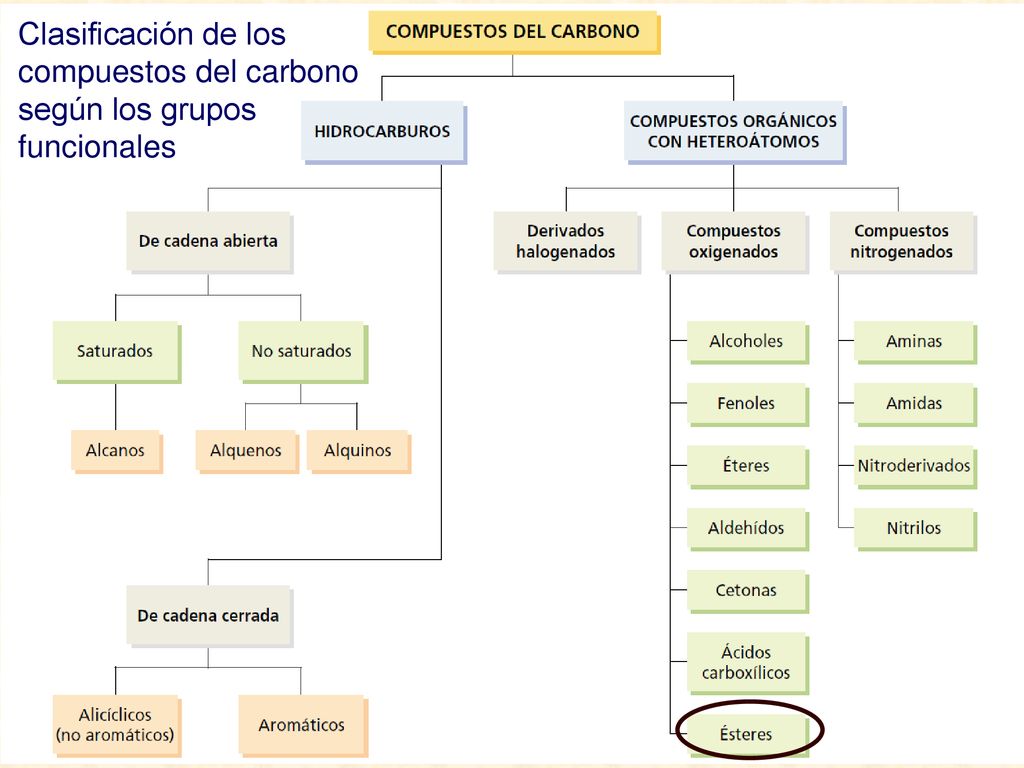 Clasificación de los compuestos del carbono según los grupos funcionales