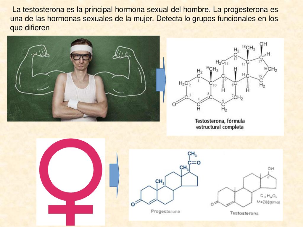 La testosterona es la principal hormona sexual del hombre