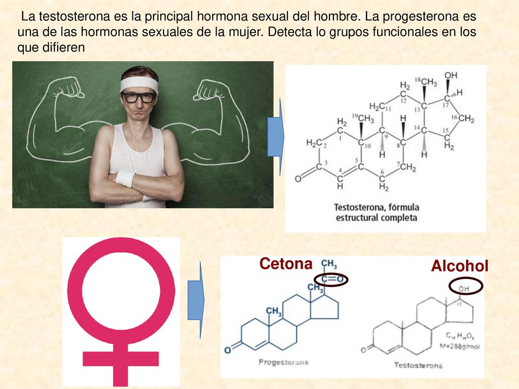 La testosterona es la principal hormona sexual del hombre