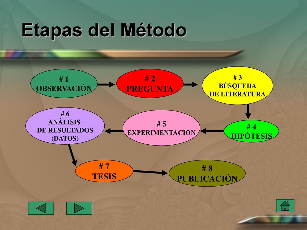 Etapas del Método # 2 PREGUNTA # 7 # 8 TESIS PUBLICACIÓN # 1