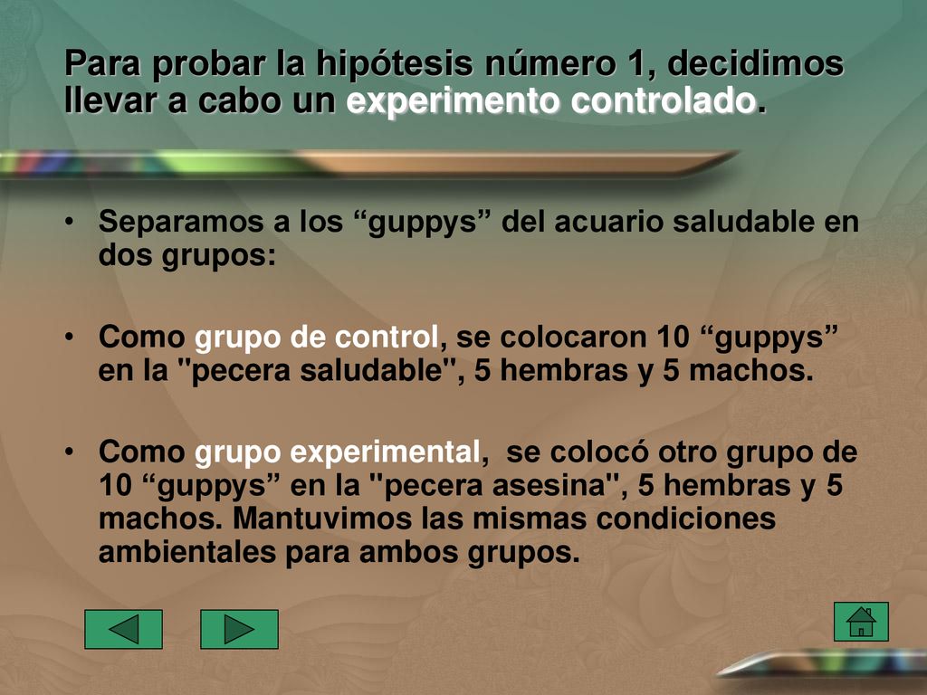 Para probar la hipótesis número 1, decidimos llevar a cabo un experimento controlado.