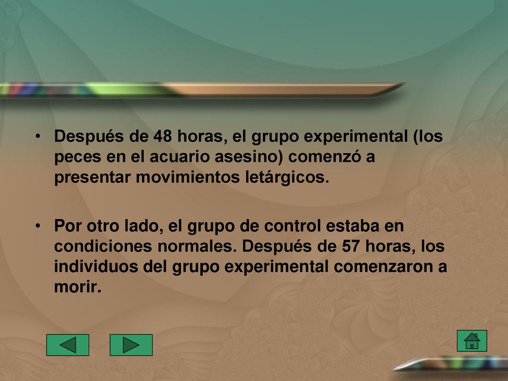 Después de 48 horas, el grupo experimental (los peces en el acuario asesino) comenzó a presentar movimientos letárgicos.