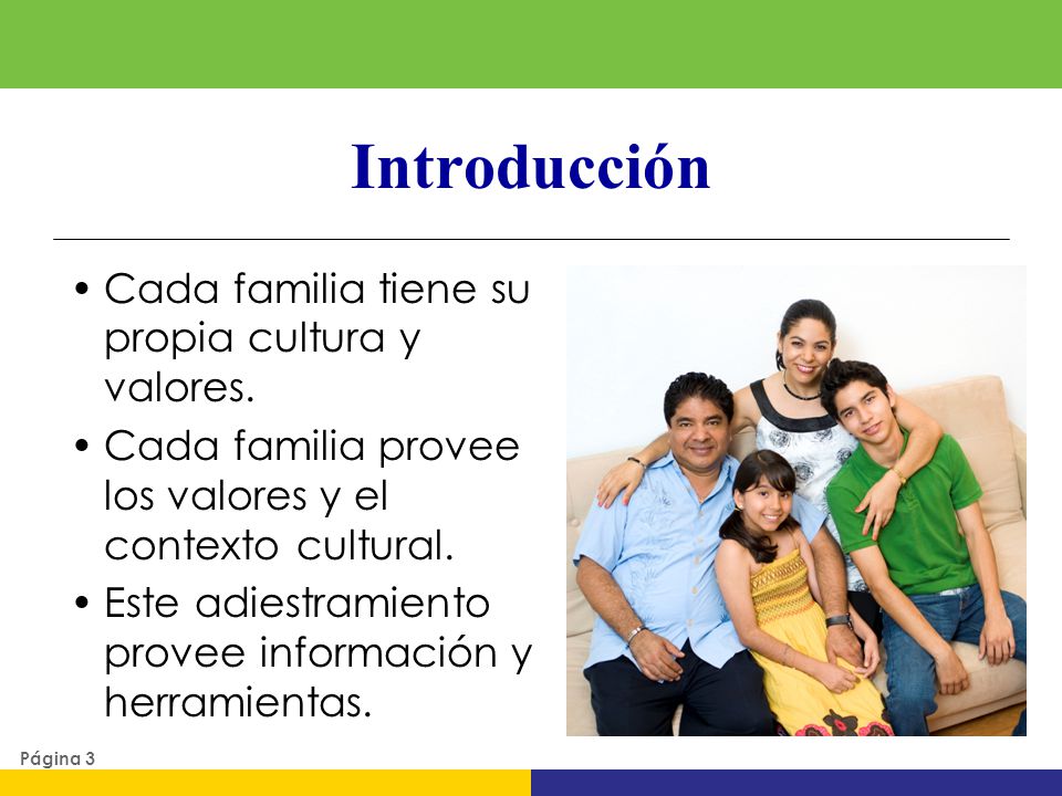 Introducción Cada familia tiene su propia cultura y valores.