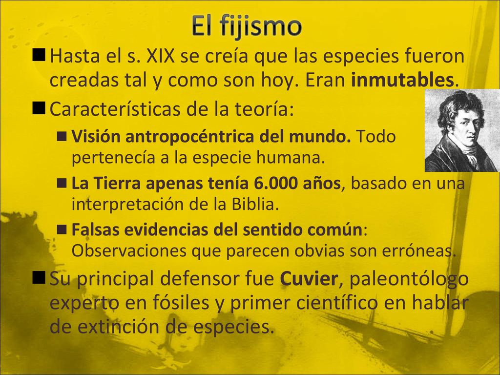 El fijismo Hasta el s. XIX se creía que las especies fueron creadas tal y como son hoy. Eran inmutables.