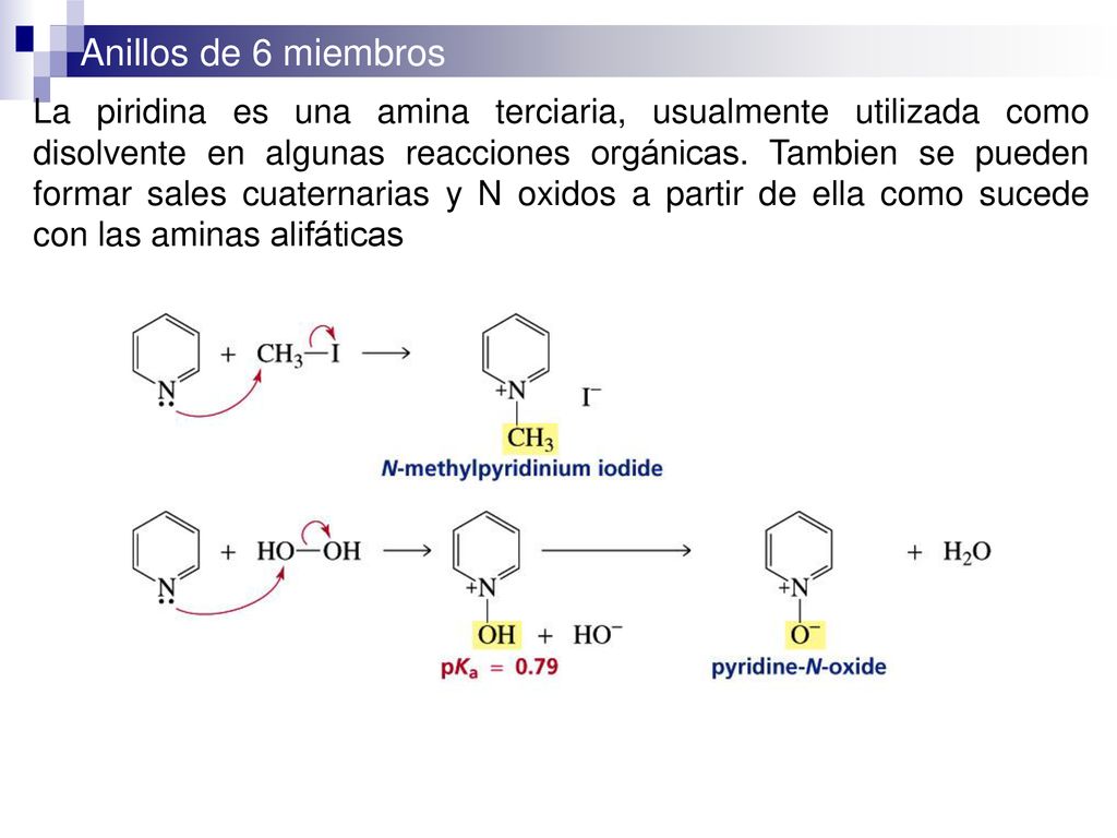 La piridina es una amina terciaria, usualmente utilizada como disolvente en algunas reacciones orgánicas.