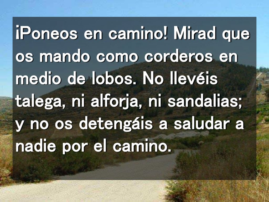 ¡Poneos en camino. Mirad que os mando como corderos en medio de lobos