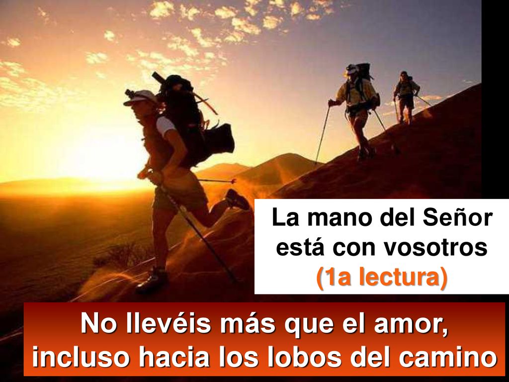 No llevéis más que el amor, incluso hacia los lobos del camino