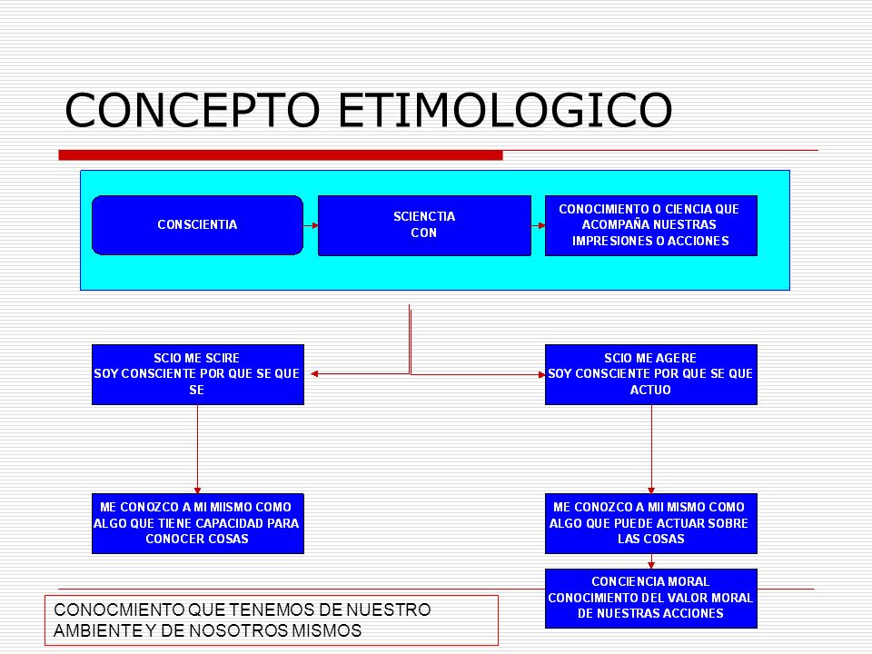 CONCEPTO ETIMOLOGICO CONOCMIENTO QUE TENEMOS DE NUESTRO AMBIENTE Y DE NOSOTROS MISMOS