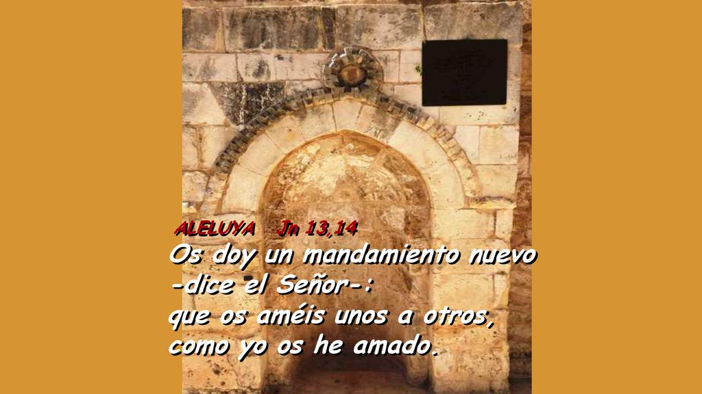 ALELUYA Jn 13,14 Os doy un mandamiento nuevo -dice el Señor-: que os améis unos a otros, como yo os he amado.