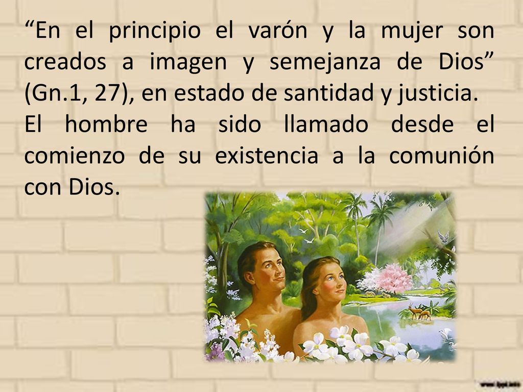 En el principio el varón y la mujer son creados a imagen y semejanza de Dios (Gn.1, 27), en estado de santidad y justicia.