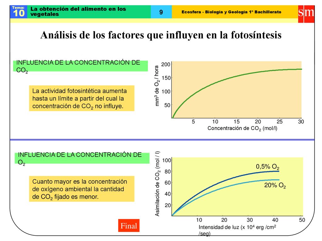 Análisis de los factores que influyen en la fotosíntesis